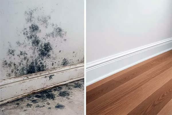 Illustrative before-and-after view of moisture-affected materials and a remediated space